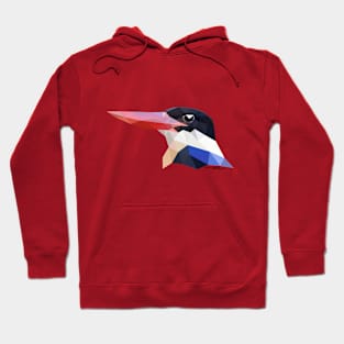 Black-capped Kingfisher Hoodie